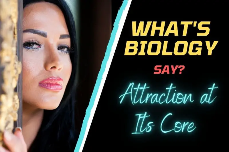 attraction biology for shy men